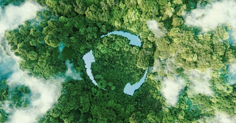 Dussmann Group's ESG strategy with a focus on the environment Green forest from above